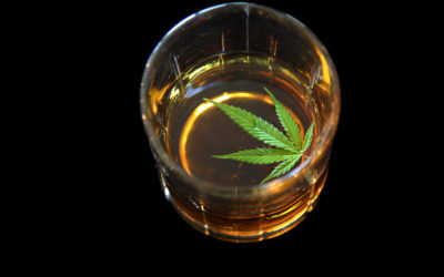 Calling All Alcohol Marketers: It’s All Going to Pot… Marijuana, That Is